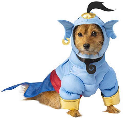 dog dressed in Aladdin costume
