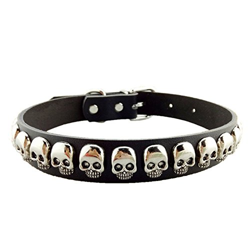 Stock Show black collar with silver skulls