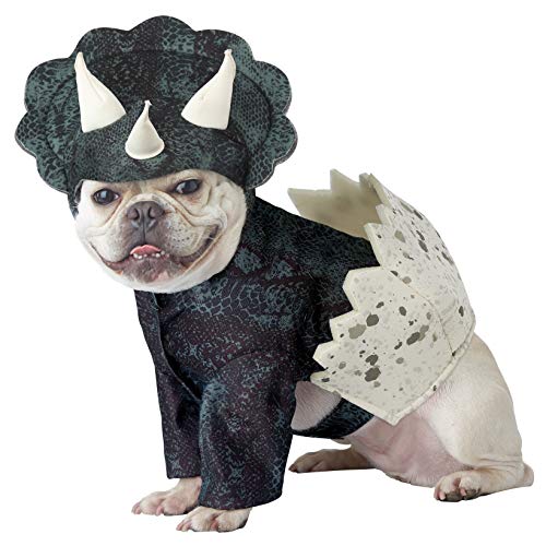 dog in costume of baby Triceratops emerging from egg
