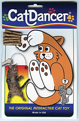 Cat Dancer cat toy