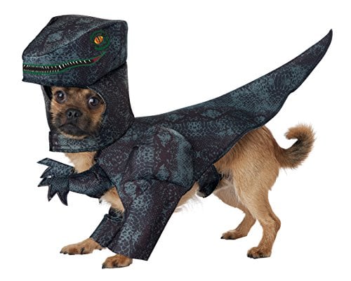 dog as dino in matching dog and owner costume set