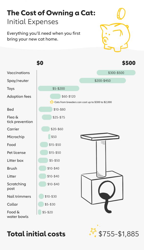 The Cost of Owning a Cat in Canada 2020 The Dog People by