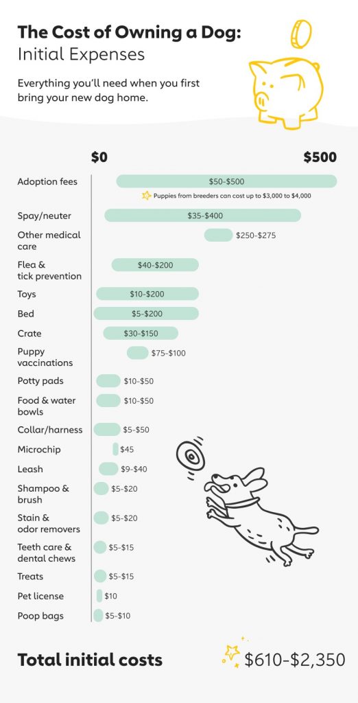 The Cost of Owning a Dog in 2020