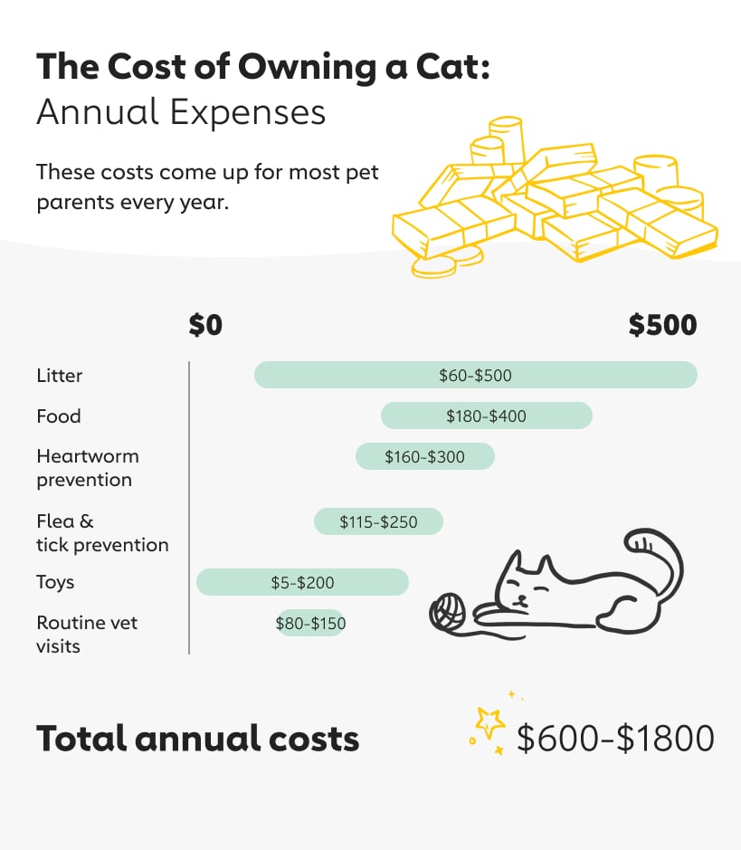 owning a cat annual expenses
