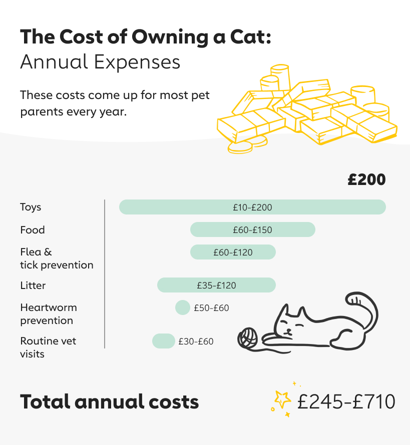 cost owning cat annual expenses