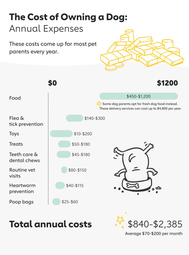 The Cost of Owning a Dog in Canada 2020 The Dog People by