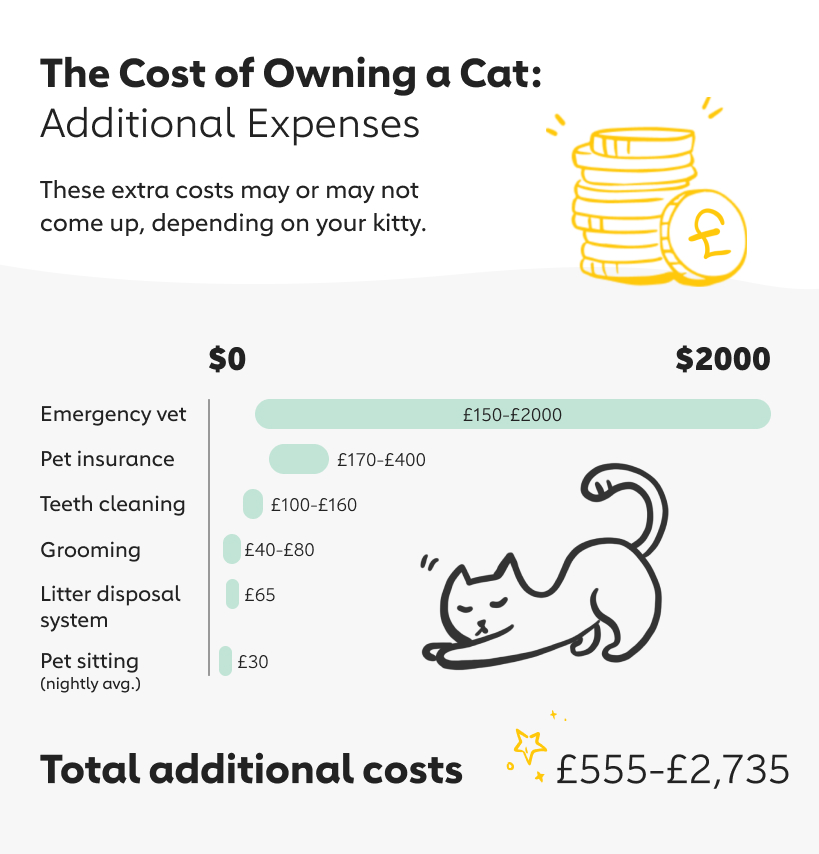 cost owning cat additional expenses