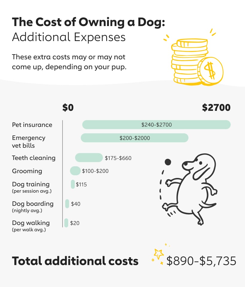 The Cost of Owning a Dog in Canada 2020 The Dog People by
