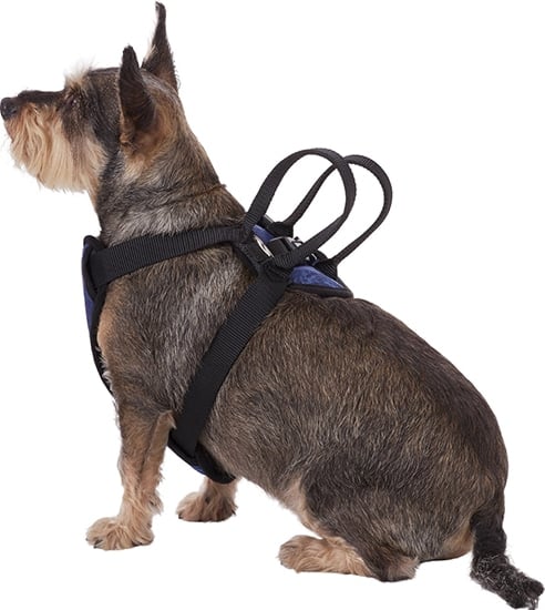PetSafe car safety harness