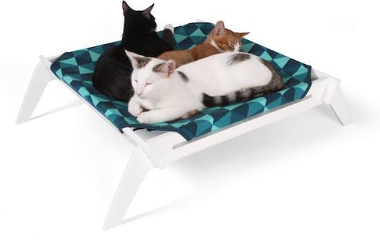 tres gatos compartiendo cama elevada Primetime