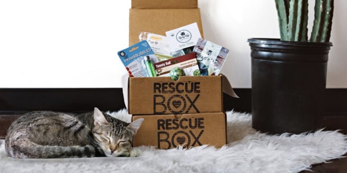 Cat Subscription Box Monthly Surprises for Your Cat—and You!