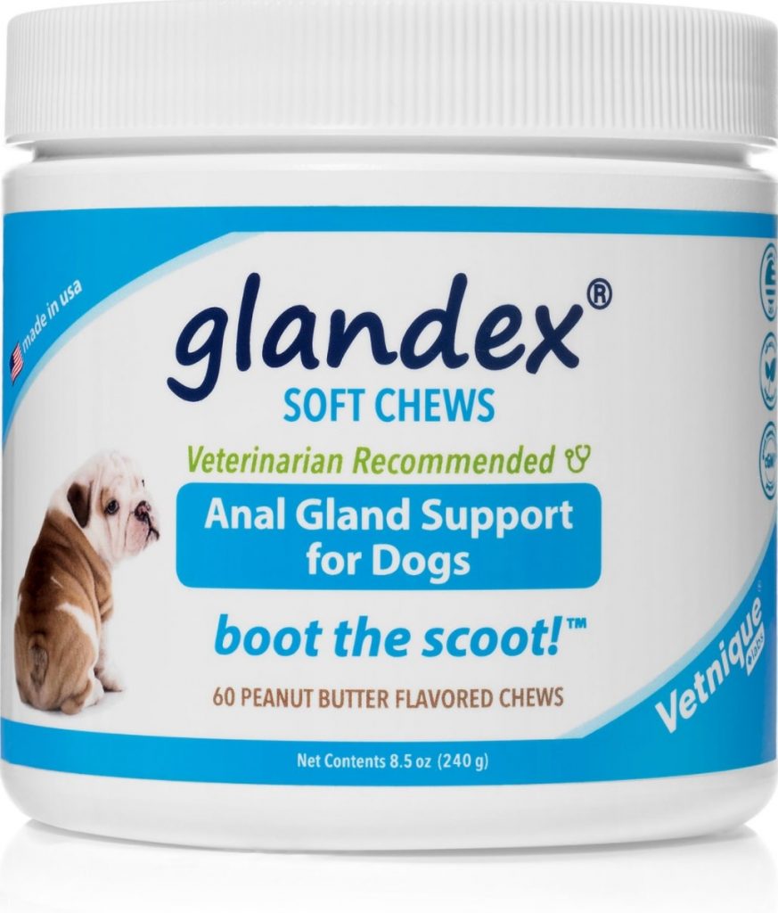 Fiber Supplement for Dogs Are Fiber Supplements Necessary?