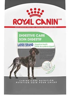 best dog food for picky eaters with sensitive stomach