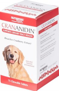 Nutramax Crananidin chewable cranberry supplement for dogs