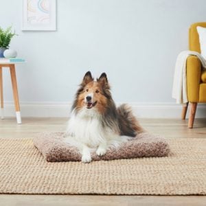Collie on Midwest Quiet Time mat
