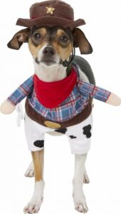 dog wearing Frisco front walking Cowboy costume for dogs