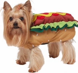 small dog in a hotdog costume