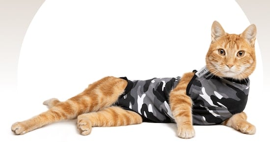 Dr.Kong Cat Recovery Suit for Abdominal Cat Outfit Anti Licking Wounds Pets Clothing for Home & Indoor Breathable Cat Surgery Recovery Cat Suit Collar/Cat Cone Professional Replacement 