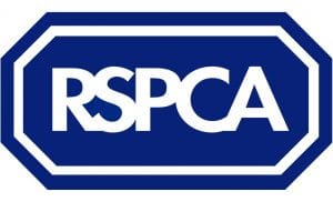 rspca cost owning a dog