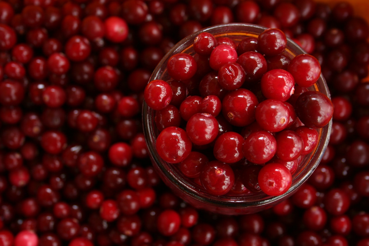 Cranberry Supplement for Dogs | All About Cranberries and Your Dog