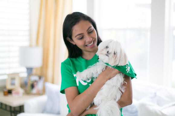 Trust & Safety | Safety is at the heart of what we do.