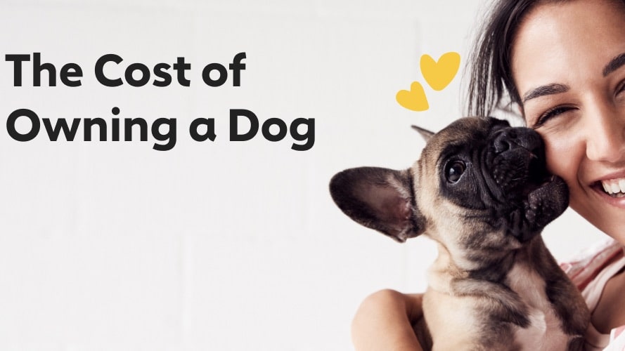 The Cost of Owning a Dog in 2020