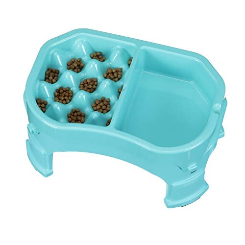 Neater Pet Elevated Slow Feeder Dog Bowl