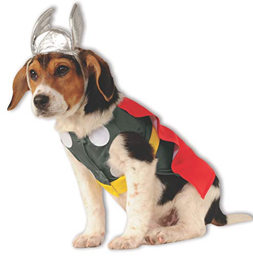 Thor dog costume