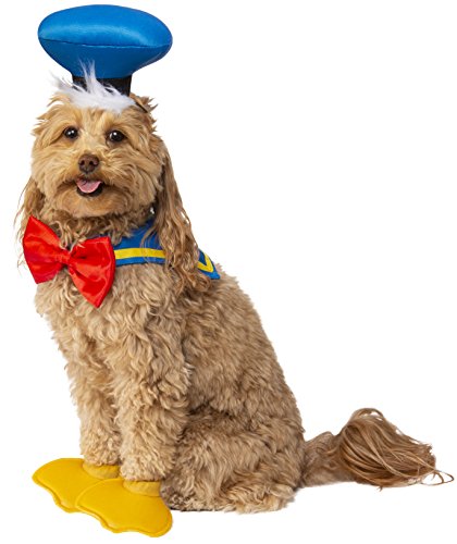 dog in Donald Duck costume