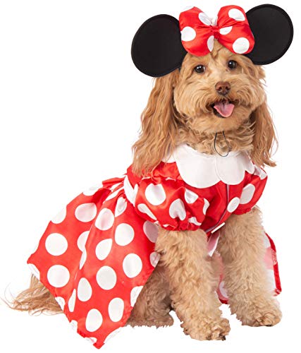 dog in Disney Minnie Mouse costume