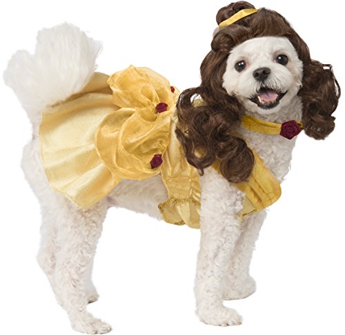 dog in Belle costume from Beauty and the Beast