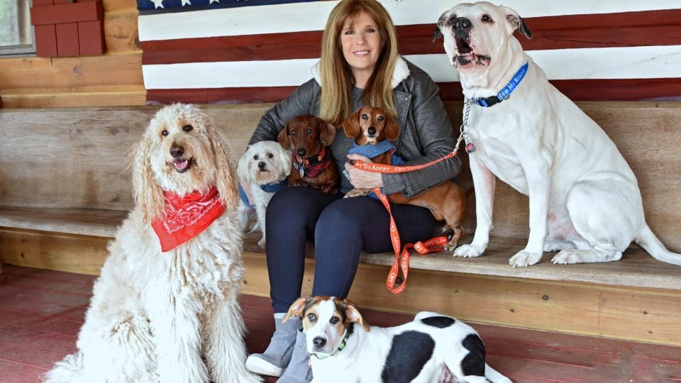 Jill Rappaport and her rescue dogs