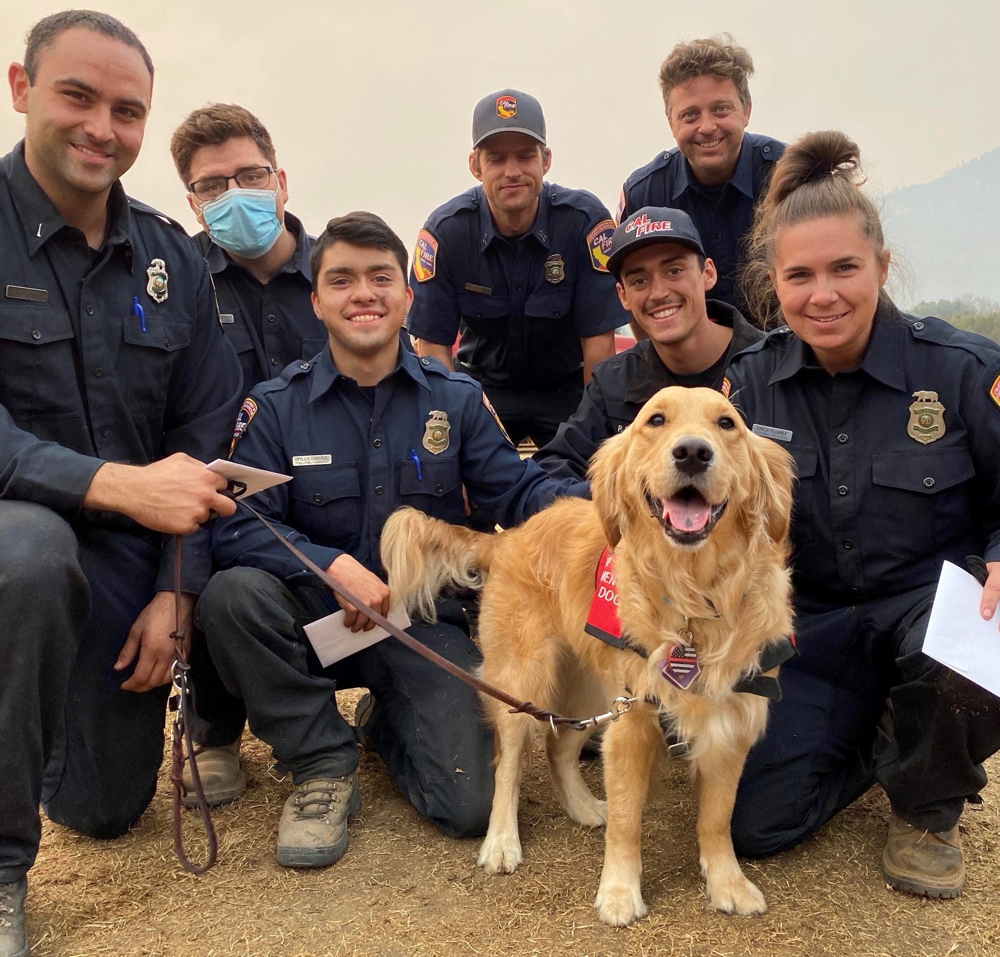 Sweet Therapy Dog Offers Much-Needed Relief to Firefighters Battling West  Coast Fires | The Dog People by Rover.com