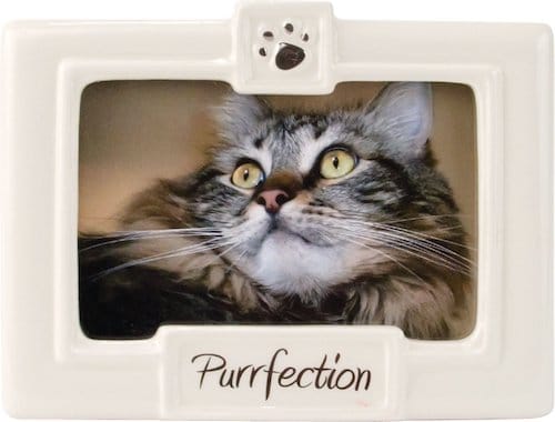 picture frame with cat paw print and the word "purrfection"
