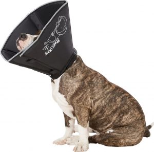 All Four Paws Comfy Cone E-collar for dogs