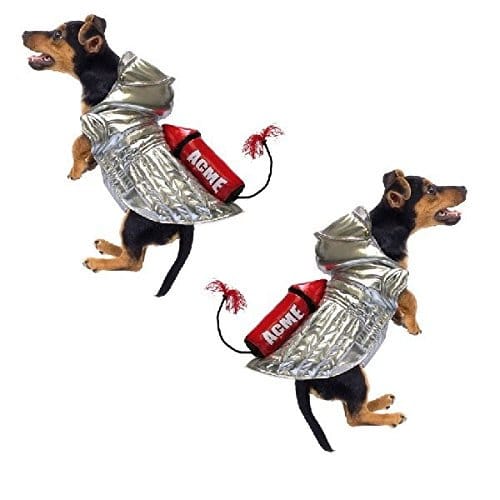 dog wearing Acme rocket dog costume with silver coat and red rocket on back
