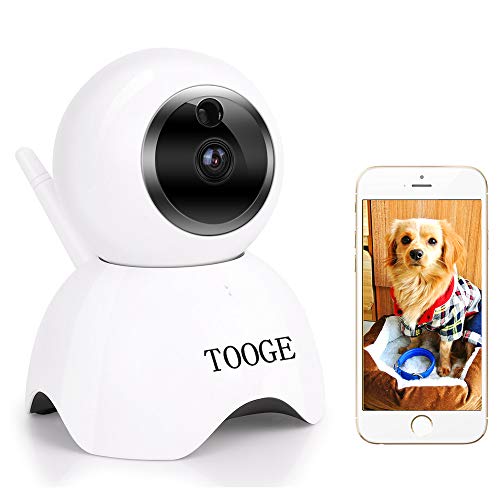 dog collar camera wireless