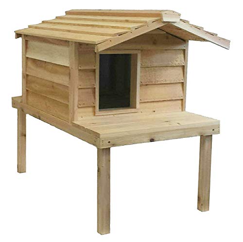 outdoor thermo kitty house