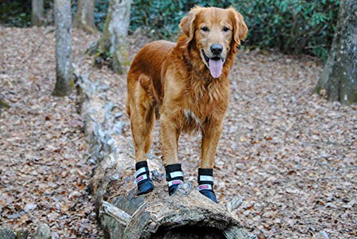 all weather dog booties