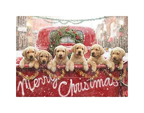 16 Dog Christmas Cards For 2019 Seasonal Heartwarming And Adorable