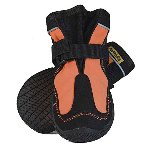 Dog Boots How to Find the Best Dog Boots for Any Occasion