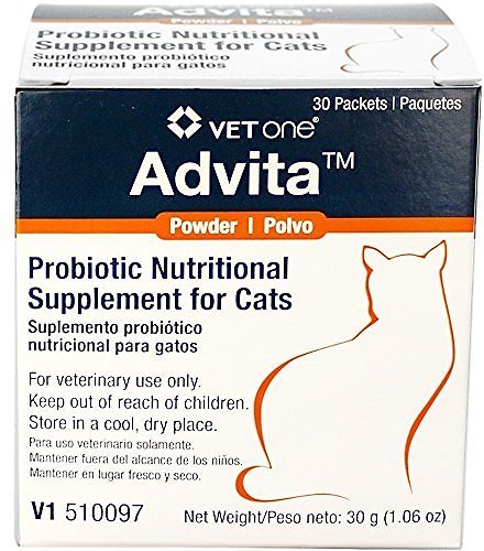 Advita probiotic for cats