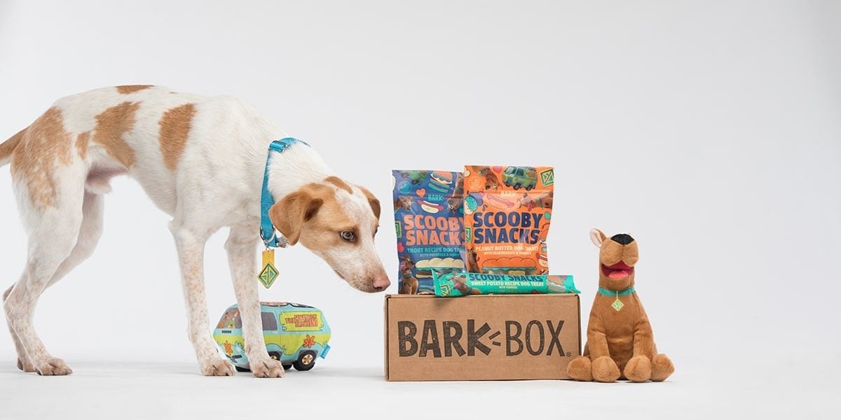 The 10 Best Dog Subscription Boxes for Toys and Treats