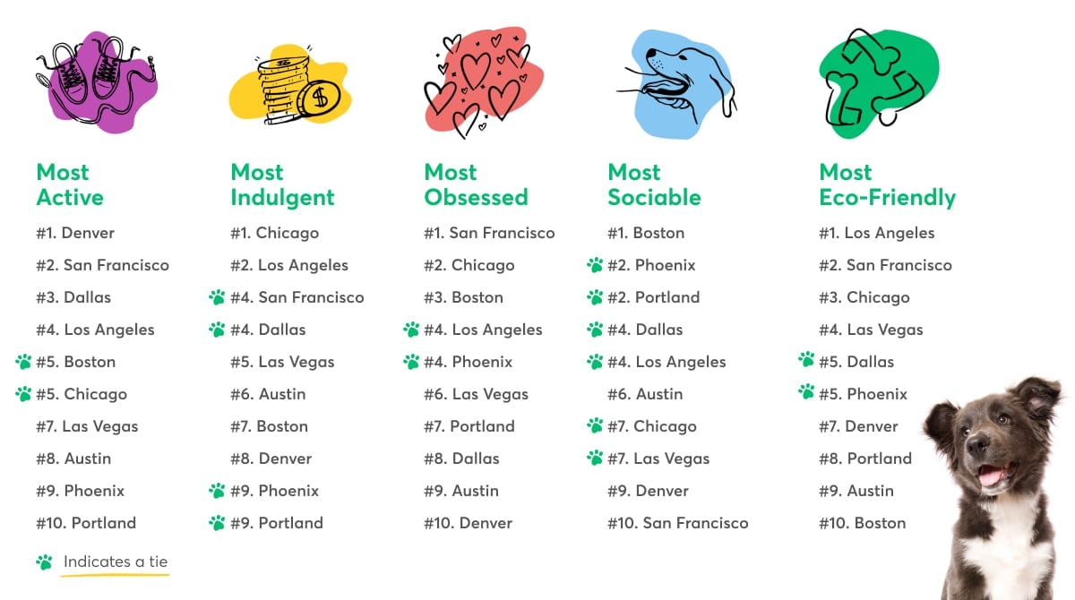 Chart of 10 US cities ranked by common pet personality traits