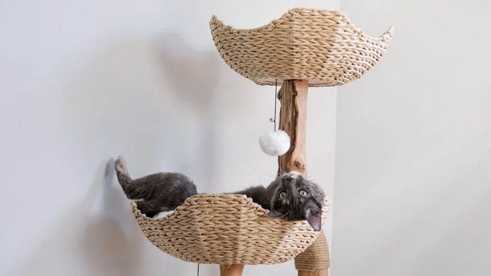 non toxic cat condos