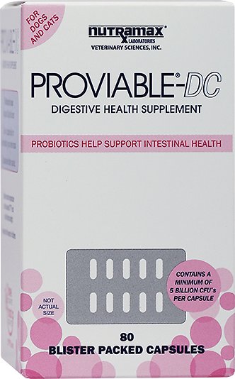Nutramax probiotics