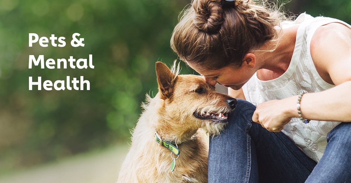 Pets and Mental Health The Power of Pets to Boost Human WellBeing