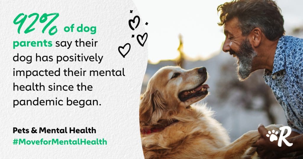 How Your Dog Can Improve Your Mental Health
