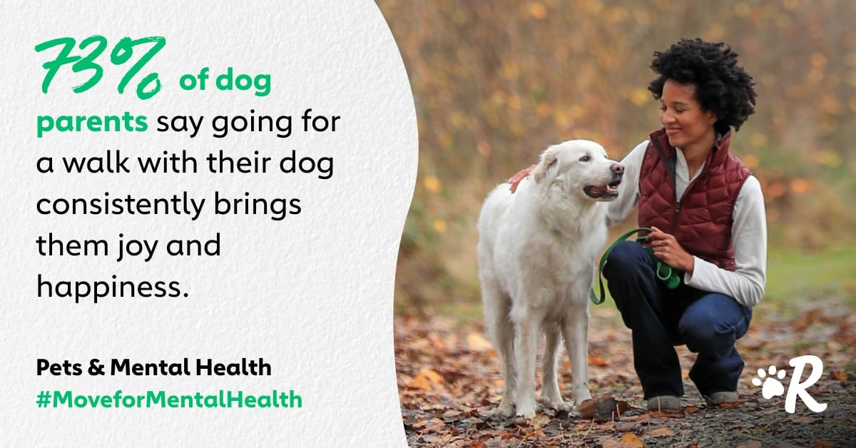 How Your Dog Can Improve Your Mental Health 
