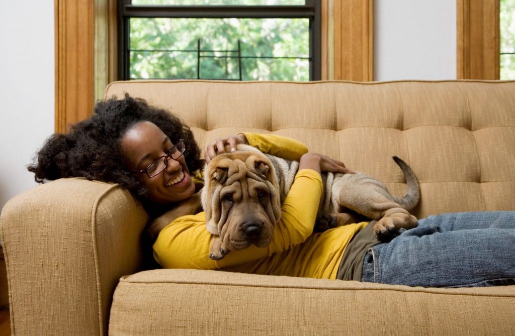 Young woman reclining on a sofa, smiling, cuddling with a wrinkly Shar Pei